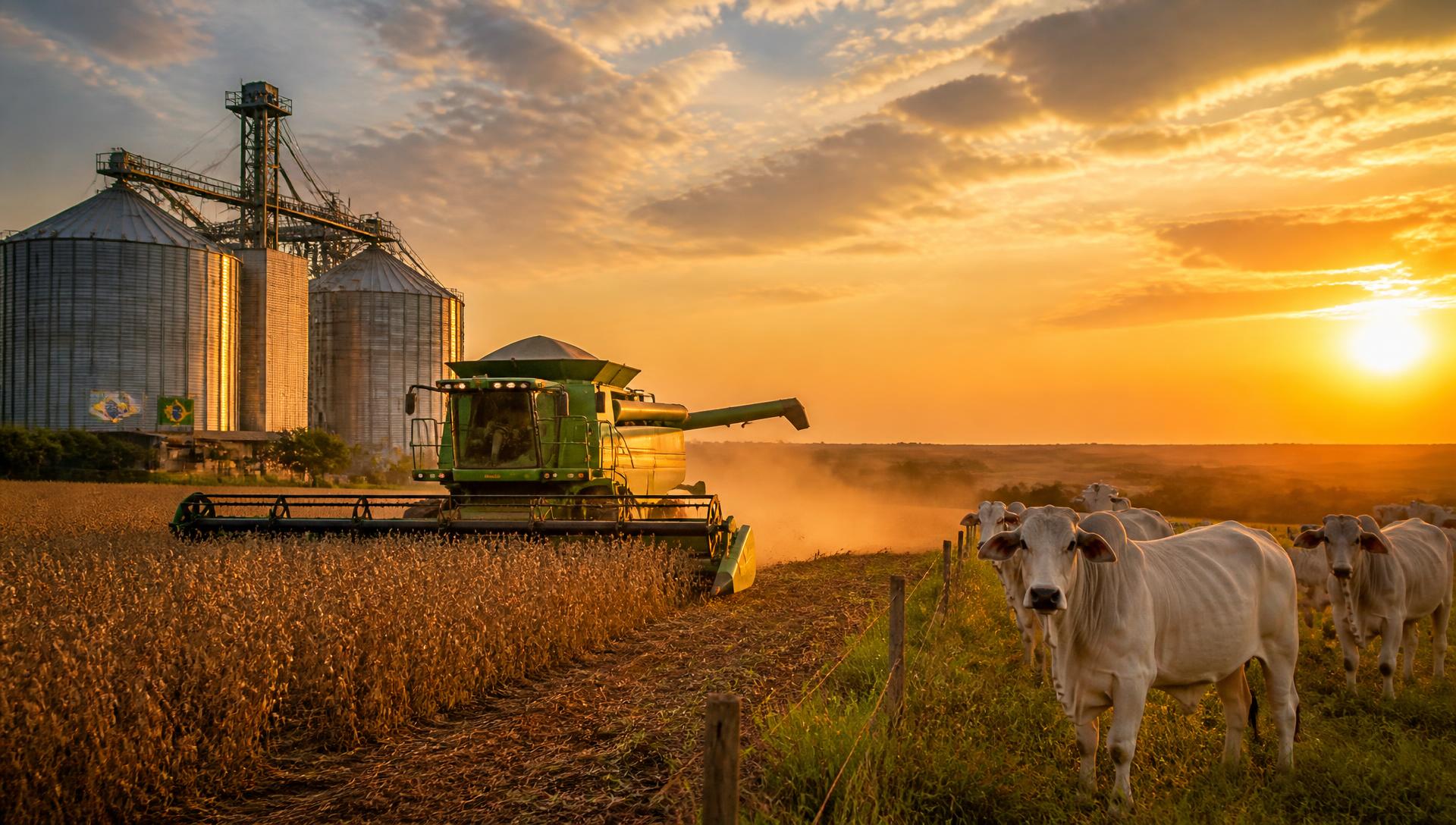 Silos, colheita mecanizada e pecuária de corte representando os projetos atendidos pela Rural Plan